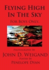 Image for Flying High In The Sky---For Boys Only