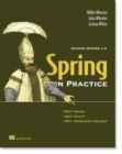 Image for Spring in practice