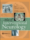 Image for Atlas of Interventional Neurology