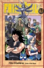 Image for Fairy Tail 13