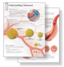 Image for Understanding Cholesterol Study Set Replacement Pads