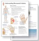 Image for Understanding Arthritis Study Set Replacement Pads : Patient Education Study Sets