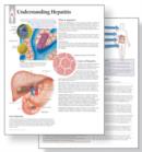 Image for Understanding Hepatitis Study Set Replacement Pads : Patient Education Study Sets