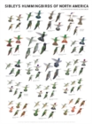 Image for Sibley&#39;s Hummingbirds of North America