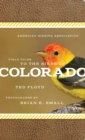 Image for American Birding Association field guide to the birds of Colorado