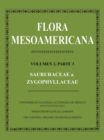 Image for Flora Mesoamericana, Volumen 2, Parte 3 - Saururceae a Zygophyllaceae