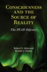 Image for Consciousness and the Source of Reality