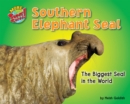 Image for Southern Elephant Seal