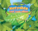 Image for Katydids