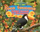 Image for Toco Toucans