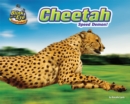 Image for Cheetah