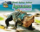 Image for Black Spiny-Tailed Iguana