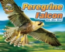 Image for Peregrine Falcon