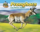 Image for Pronghorn