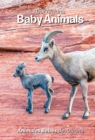 Image for Our Arizona: Baby Animals