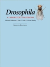 Image for Drosophila: A Laboratory Handbook