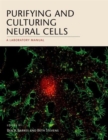 Image for Purifying and Culturing Neural Cells : A Laboratory Manual