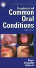 Image for Clinicians Guide to the Treatment of Common Oral Conditions
