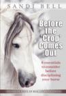 Image for Before the &#39;Crop&#39; Comes Out : 8 Essentials to Consider Before Disciplining Your Horse