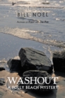 Image for Washout : A Folly Beach Mystery