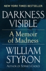 Image for Darkness visible: a memoir of madness