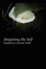Image for Imagining the Self