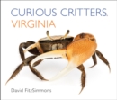 Image for Curious Critters Virginia