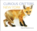 Image for Curious Critters New York