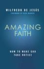 Image for Amazing Faith