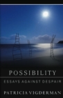 Image for Possibility: essays against despair