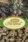 Image for Marijuana harvest  : how to maximize quality and yield in your cannabis garden