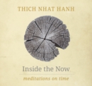 Image for Inside the now  : meditations on time