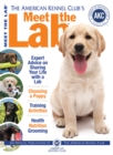 Image for The American Kennel Club&#39;s meet the lab: the responsible dog owner&#39;s handbook.