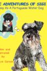 Image for A Day as a Portuguese Water Dog