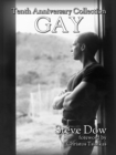 Image for Gay: the tenth anniversary collection
