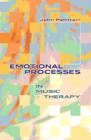 Image for Emotional processes in music therapy