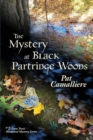 Image for The Mystery at Black Partridge Woods
