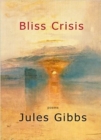 Image for Bliss Crisis