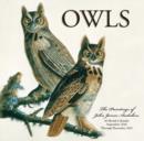 Image for Owls