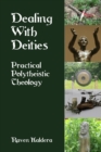 Image for Dealing With Deities : Practical Polytheistic Theology