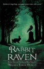 Image for The Rabbit and the Raven