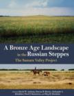 Image for A Bronze Age landscape in the Russian steppes  : the Samara Valley Project