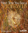 Image for Next time you see a spiderweb