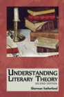 Image for Understanding Literary Theory
