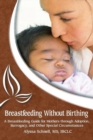 Image for Breastfeeding Without Birthing: A Breastfeeding Guide for Mothers through Adoption, Surrogacy, and Other Special Circumstances