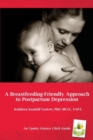 Image for A Breastfeeding Friendly Approach to Postpartum Depression: A Resource Guide for Health Care Providers