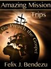 Image for Amazing Mission Trips: Go, Preach the Gospel