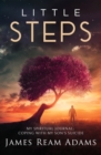 Image for Little Steps : My Spiritual Journal: Coping with My Son&#39;s Suicide