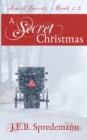 Image for A Secret Christmas : Amish Secrets