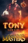 Image for Tony : Slow Burn